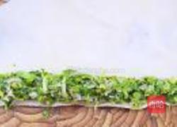 苦菊千张卷的做法图解7
