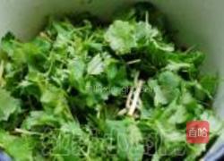 凉拌臭菜根的做法图解7