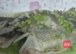 清蒸桂鱼的做法图解12