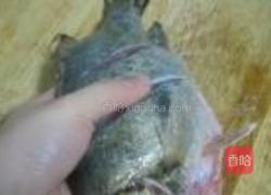 清蒸桂鱼的做法图解4