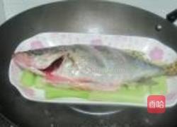 清蒸桂鱼的做法图解6