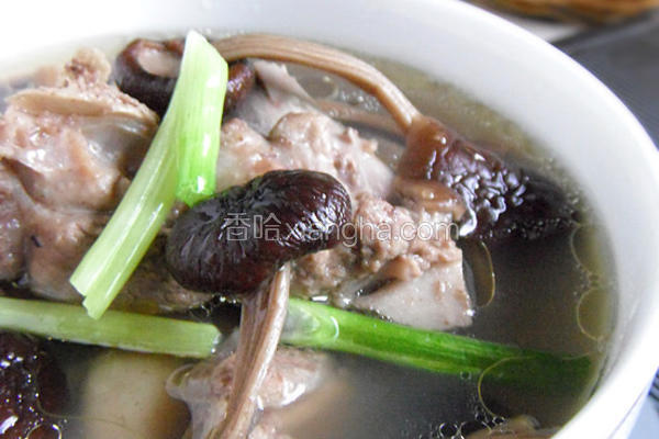 茶菇番鸭煲