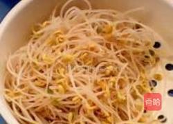 黄豆芽炒木耳的做法图解6