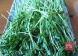 豌豆苗虾仁的做法图解2