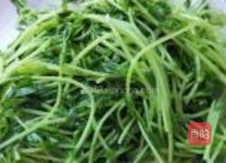 豌豆苗虾仁的做法图解5