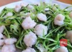 豌豆苗虾仁的做法图解7