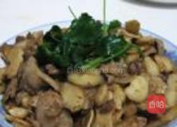 荸荠肉片的做法图解5