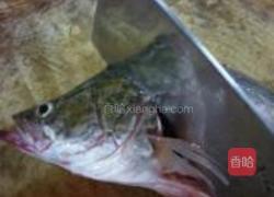 红烧桂鱼的做法图解2