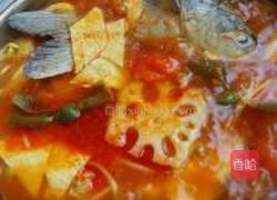 酸汤鱼的做法图解12