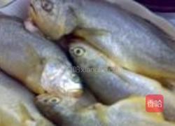 虾鲜酱清蒸黄鱼的做法图解1