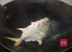 干烧平鱼的做法图解4