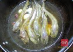 家常烧狗鱼的做法图解4