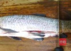 麻辣水煮鱼的做法图解1