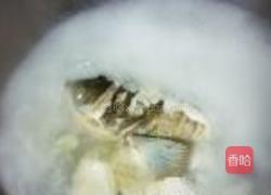 荠菜汤圆炖鱼头的做法图解4