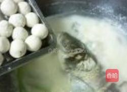 荠菜汤圆炖鱼头的做法图解7