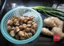 白灼花螺的做法图解1