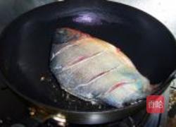 红烧白鲳鱼的做法图解5
