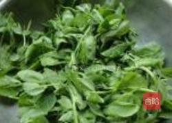 炒豆苗菜的做法图解1