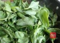 炒豆苗菜的做法图解3