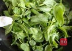 炒豆苗菜的做法图解4