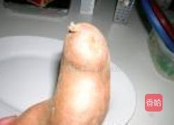 青口开屏迎春的做法图解6