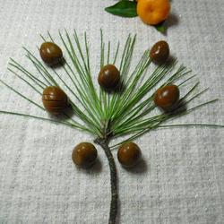 啤酒卤蛋的做法[图]