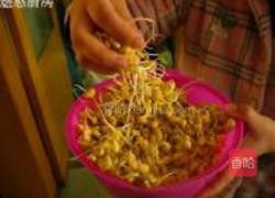 自制黄豆芽的做法图解6