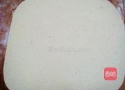 全麦花卷的做法图解5
