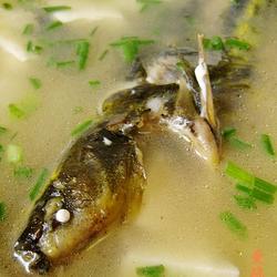 昂刺鱼炖豆腐的做法[图]