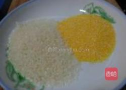 灵芝玉米米糊的做法图解4
