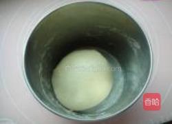 无油小面包的做法图解4