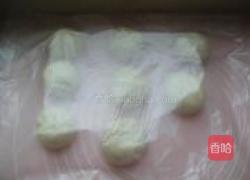 无油小面包的做法图解7
