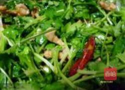 香香菜的做法图解4