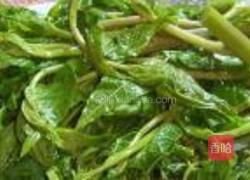 盐渍香椿的做法图解15