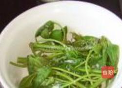 盐渍香椿的做法图解9