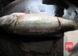 特色蒸鲈鱼的做法图解5