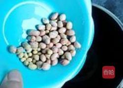 花生莲子豆浆的做法图解3