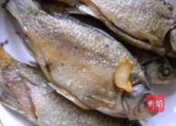 薯粉炖鲫鱼的做法图解6