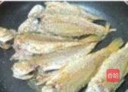 香煎黄花鱼的做法图解4