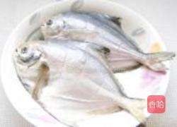 红烧鲳鱼的做法图解1
