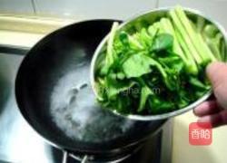 鱼肚扒菜心的做法图解16