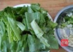 蒜蓉油麦菜的做法图解1