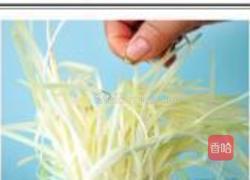 韭黄炒肉皮的做法图解4
