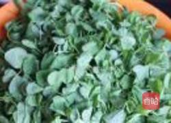 草头饼的做法图解1
