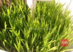 苹果柠檬小麦草汁的做法图解2