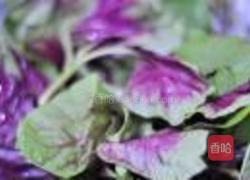 上汤苋菜的做法图解1