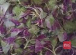 蒜蓉苋菜的做法图解1