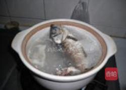 海带豆腐鲫鱼汤的做法图解5