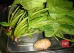 姜汁菠菜卷的做法图解1