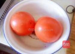 洋葱番茄炖白菜的做法图解2